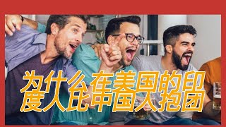 为什么在美印度人比华人更抱团！｜印度人｜硅谷华人｜种族歧视｜【牛哥说钱20230803】