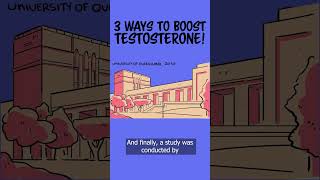 How To Increase Your Testosterone - 3 Top Tips