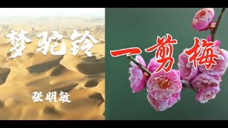 张明敏《梦驼铃》《一剪梅》