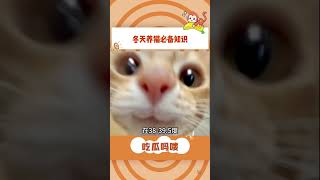 养猫人冬天一定要知道的知识#猫咪 #养宠物 #冬天#shorts