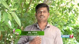 'Kandankathiri' helps to cure arthritis | Poovali | News7 Tamil