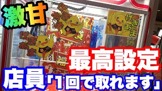 【クレーンゲーム】激甘すぎる台発見！！店員『一回で取れますw』最高設定の確率機に挑戦！！【ufoキャッチャー】