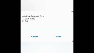 USSD STATUSES and ERRORS explained
