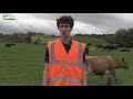 teagasc ballyhaise farm update