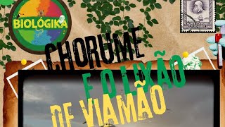 Chorume e o LIXÃO de Viamão