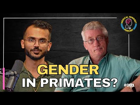 Primate gender roles: Dr Frans de Waal on alpha males, social dynamics and parental perspectives