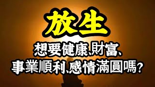 放生，為何招感健康、財富、事業順利、感情圓滿呢？不可思議功德