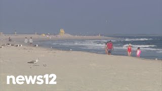 Shark spotted at Lido Beach and Jones Beach on Long Island, officials say | News 12