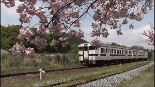 呼野駅の八重桜 日田彦山線