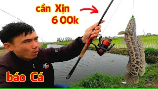 Lần đầu câu Lure bằng cần câu Xịn, kết quả bất ngờ