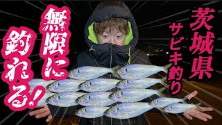 茨城の堤防が凄かった！無限∞に釣れる【サビキ釣り】寒さ吹っ飛ぶ真冬の爆釣祭り