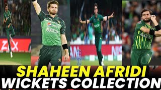 Shaheen Shah Afridi is The King of Swing | Cricket | Pakistan team | PSL |  Pakistan Bowling