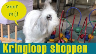 KRINGLOOP SHOPPEN voor je KONIJNEN | Van speelgoed, accessoires tot verzorging