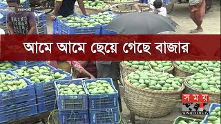 আমে আমে ছেয়ে গেছে রাজশাহীর বাজার | Mango Market In BD | Mango Season