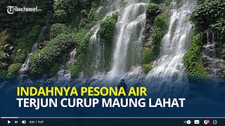 Indahnya Pesona Air Terjun Curup Maung Lahat, Destinasi Wisata Alam yang Pernah jadi Trending Topik