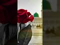 islamic poetry islamic video ❤️