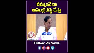 దమ్ముంటే రా..అసెంబ్లీ రద్దు చేస్తా | CM KCR | YouTube Shorts | V6 News