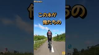 【道しるべ】この〜木なんの木はラスト3キロの合図#shorts 【ロードバイク】【サイクリング】【北海道】【札幌】【侍】【侍family】【お笑い】【雑談】