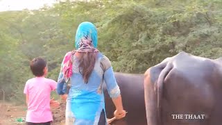 शहीद सूबेदार का  ग्राम -डूबे खेत  परेशान किसान|बड़ौदा विधानसभा निर्वाचन क्षेत्र| SONIPAT NEWS 2019|