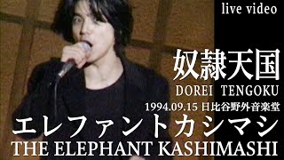 THE ELEPHANT KASHIMASHI  