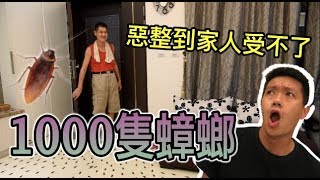 【狠愛演】一千隻蟑螂惡整！家人嚇到受不了『蟑螂地獄』