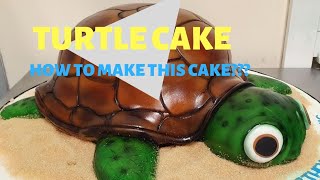 TURTLE CAKE!!!  How to make this cake?