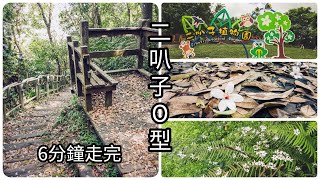 【2021新北桐花季】新店桐花秘境二叭子植物園「藝桐踏青趣」雙城步道環型路線 | 台北新店登山健行交通攻略 #4K #Taipei Travel