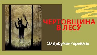 Чертовщина в лесу ( История )