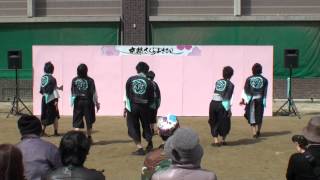 旦那組　～京都さくらよさこい2012(京都御池中学校会場)