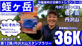 【トレイルランニング/登山/コース紹介！！】神奈川県丹沢エリア/丹沢大山スタンプラリーって？！/丹沢最高峰・蛭ヶ岳を目指して縦走/バカ尾根・塔ノ岳・丹沢山・日帰りでいけるトレランコース紹介！！