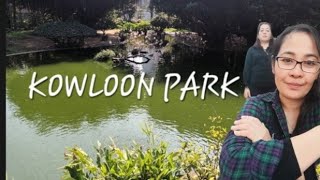 Vlog# 180 Tour Around Kowloon Park |@jhcvlogg1109 #AmericanFlamingos #AfricanPigeons