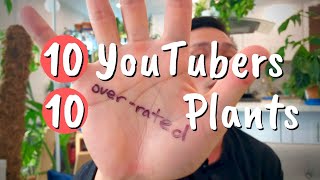 10 YouTubers Share 10 Overrated Indoor Houseplants | Huge Plant YouTube Collab | Ep 49