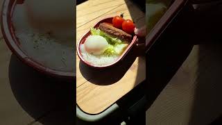 【車中飯】人気シリーズだけ弁当をロコモコ丼風アレンジ【マルシン】