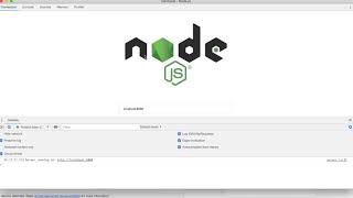 How to debug a Node js server