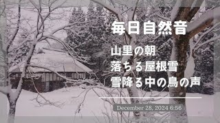 自然音│朝の森 山里 雪の音 野鳥の声│2024.12.28│podcast│BGM 作業用 癒し リラクゼーション│新潟県阿賀町