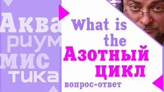 #Аквариумистика. Основные понятия. Азотный цикл. #shorts