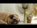 Lotion in the refrigerator and more hacks to keep cool without AC Lotion in the refrigerator and more hacks to keep cool without AC