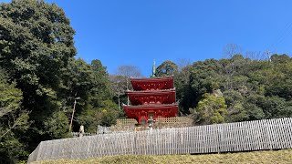 Gifu Park | Three Storied Pagoda