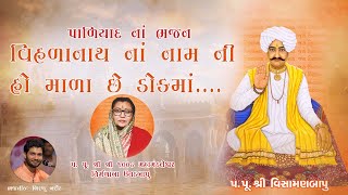 વિહળાનાથ નાં  નામ ની હો માળા છે ડોકમાં....| પાળિયાદ નાં ભજન | બિરજુ બારોટ | વિહળધામ પાળિયાદ