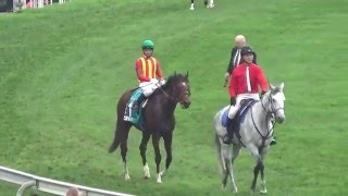 2016 チャンピオンズマイル モーリス Champions Mile Maurice