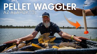 Hogyan fogjunk a felszínen PONTYOT? - Pellet Waggler módszer