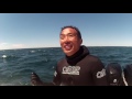 harbor house life bluewater spearfishing in the north atlantic