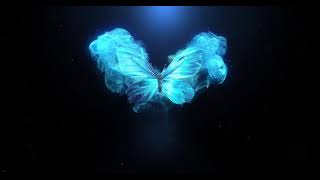 Butterfly Logo Animation