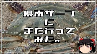 【ルアー】県南サーフにまた行ってみた【ゆっくり実況】