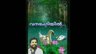 vanabhangiyil nizhal anivedhiyil വന ഭംഗിയിൽ നിഴൽl(Dileep. v)