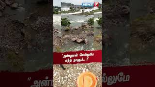 வெள்ளத்தில் சிக்கிய செல்லப்பிராணிக்கு ட்ரோன் மூலம் உணவு #petslove #dog #floods