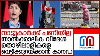 കുടിയേറ്റം സ്വപ്നം കാണുന്ന മലയാളികളുടെ വയറ്റത്തടിക്കുമോ? l Canada