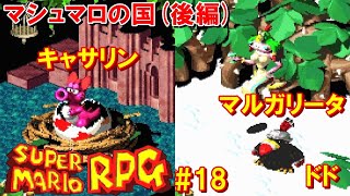 スーパーマリオRPG攻略#18『マシュマロの国／ボス：キャサリン・マルガリータ＆ドド／マリオ最強の武器：ひまんパタこうら』SUPER MARIO RPG｜MIZUKENミズケン