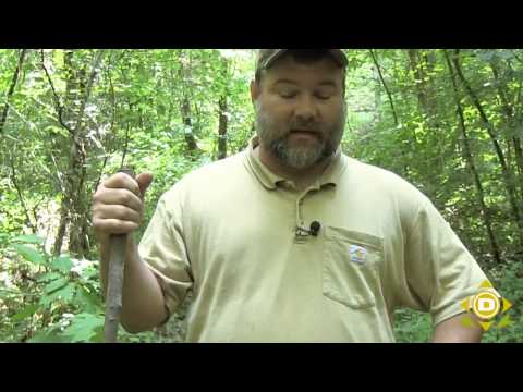 How to Avoid Snakes in the Outdooors How to Avoid Snakes in the Outdooors