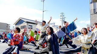 近畿大学よさこい連洗心　バサカニ2017 公園線南会場